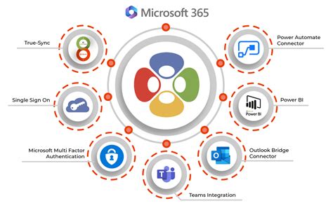 racetan 365|Services .